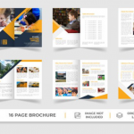 学校宣传册设计模板矢量图