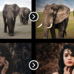 【LR预设】6套140款人像摄影智能AI自适应修饰调色Lightroom预设