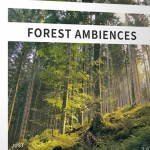 【配乐音效】133个中欧森林自然四季宁静纯粹鸣禽树木背景氛围