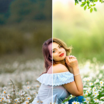 【图片素材】1133种摄影后期装饰散景彩虹气泡火花羽毛粒子音符花瓣