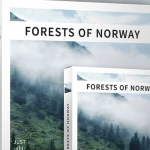 【配乐音效】99个北欧挪威原始森林风声流水动物鸟鸣自然环境