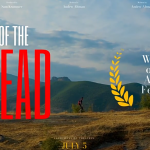 PR模板-20组简约优雅精美电影海报标题设计文本动画