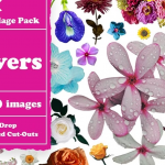 【PNG素材】1000+鲜花树木植物食品饮料动物人类风景车辆复古背景剪贴画报