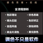 达芬奇调色思维 商业项目实操