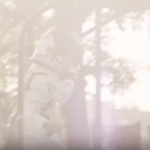 70组自然光效镜头逆光4K视频素材-自然光晕镜头逆光叠加光效