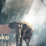 【图片素材】50张晨曦朦胧薄雾烟雾艺术氛围增强照片