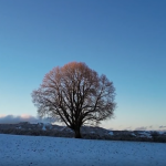 AE-视频运动元素提取器视觉特效 Motion Extractor V1.0.0 Win