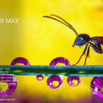 照片编辑软件 ON1 Photo RAW MAX 2025(19.0.2.16131)Win/Mac