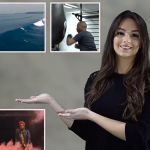 【FCPX插件】9个创意弹跳视频画中画弹窗分屏动画