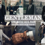 【调色预设】10款时尚优雅绅士商务凤视频照片摄影调色LUT预设