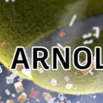 阿诺德Arnold SolidAngle C4DtoA 4.7.8win