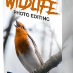 野生动物摄影后期修饰技术教程-中英字幕