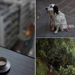 电影感情绪胶片Lightroom预设