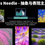 摄影棚工作室人像调色LR预设