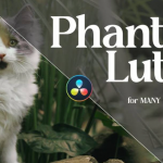 Phantom luts合集 含film 和arri两套预设
