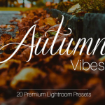 秋季旅拍电影风光LR预设