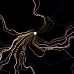 中文汉化版-动态线条粒子动画AE插件 Vectory v1.0 Win