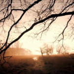 达芬奇数码相机取景器模板