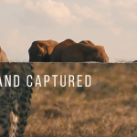 FCPX插件-56个纸张撕裂折叠拼贴视频转场预设