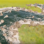 Blender插件-程序化生成小溪河流预设 V1.3.1