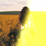 【PR模板】5款电影胶片灼烧光效闪烁视频过渡转场预设