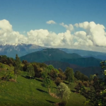 达芬奇电影风格视频调色学习教程