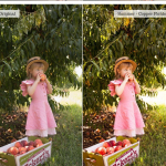 明亮通透色彩电影人像Lightroom预设