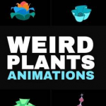 手绘动画稀有植物达芬奇模板