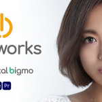 PR-智能人像磨皮祛斑美颜皮肤光泽美白修饰插件 Digital Bigmo2026.1.1