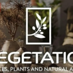 Blender插件-花草树木植物预设库 Vegetation Pro V6.1 含预设库